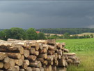 Bild_1